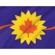Flag of Baldwin City, Kansas, Patriotic Flags, Unique Design Print, Flags for Indoor & Outdoor Use - Imagine 2