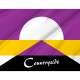 Flag of Countryside, Kansas, Patriotic Flags, Unique Design Print, Flags for Indoor & Outdoor Use - Imagine 2