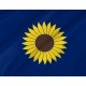 Flag of Kansas 1925-1927, Patriotic Flags, Unique Design Print, Flags for Indoor & Outdoor Use - Imagine 2