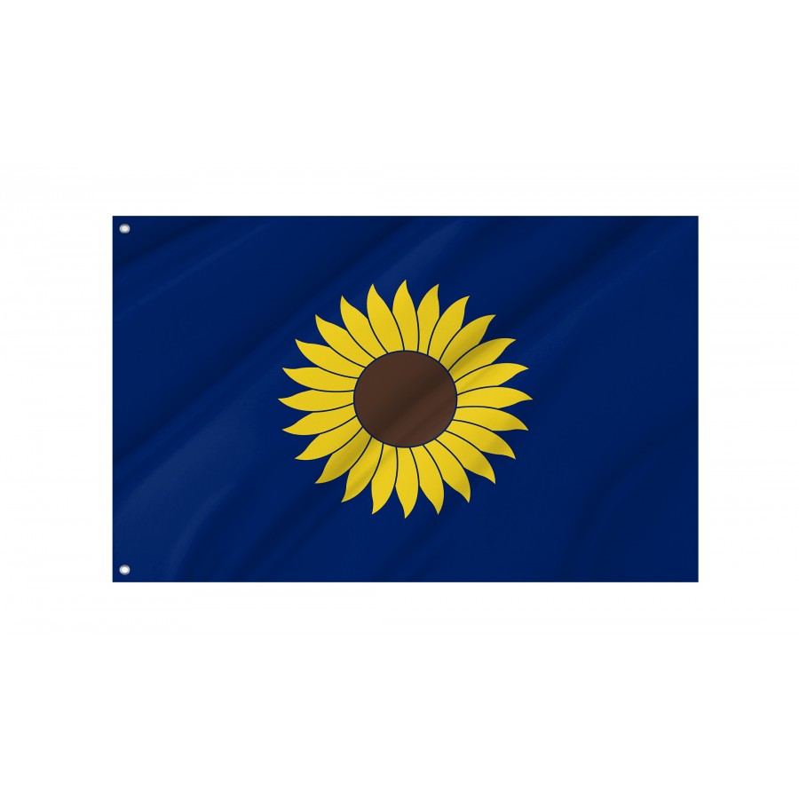 Flag Of Kansas 1925-1927, Patriotic Flags, Unique Design Print, Flags For Indoor & Outdoor Use - High Quality Kansas for Indoor and Outdoor Use