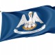 Flag of Louisiana State, Patriotic Flags, Unique Design Print, Flags for Indoor & Outdoor Use - Imagine 1
