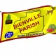 Bienville Parish Flag for Indoor & Outdoor Use - Imagine 1