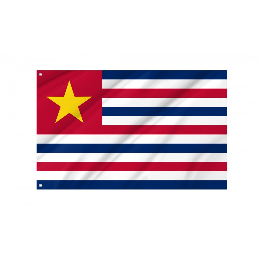 Flag of Louisiana February 11, 1861, Patriotic Flags, Unique Design Print, Flags for Indoor & Outdoor Use