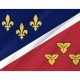 Metairie Flag for Indoor & Outdoor Use - Imagine 2
