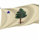 Flag of Maine 1901 to 1909, Patriotic Flags, Unique Design Print, Flags for Indoor & Outdoor Use - Imagine 1