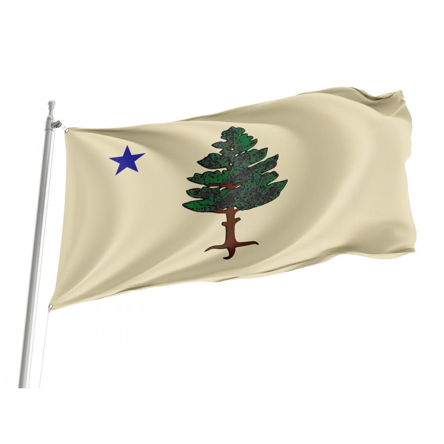 Flag Of Maine 1901 To 1909, Patriotic Flags, Unique Design Print, Flags For Indoor & Outdoor Use - High Quality Maine for Indoor and Outdoor Use