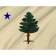 Flag of Maine 1901 to 1909, Patriotic Flags, Unique Design Print, Flags for Indoor & Outdoor Use - Imagine 2