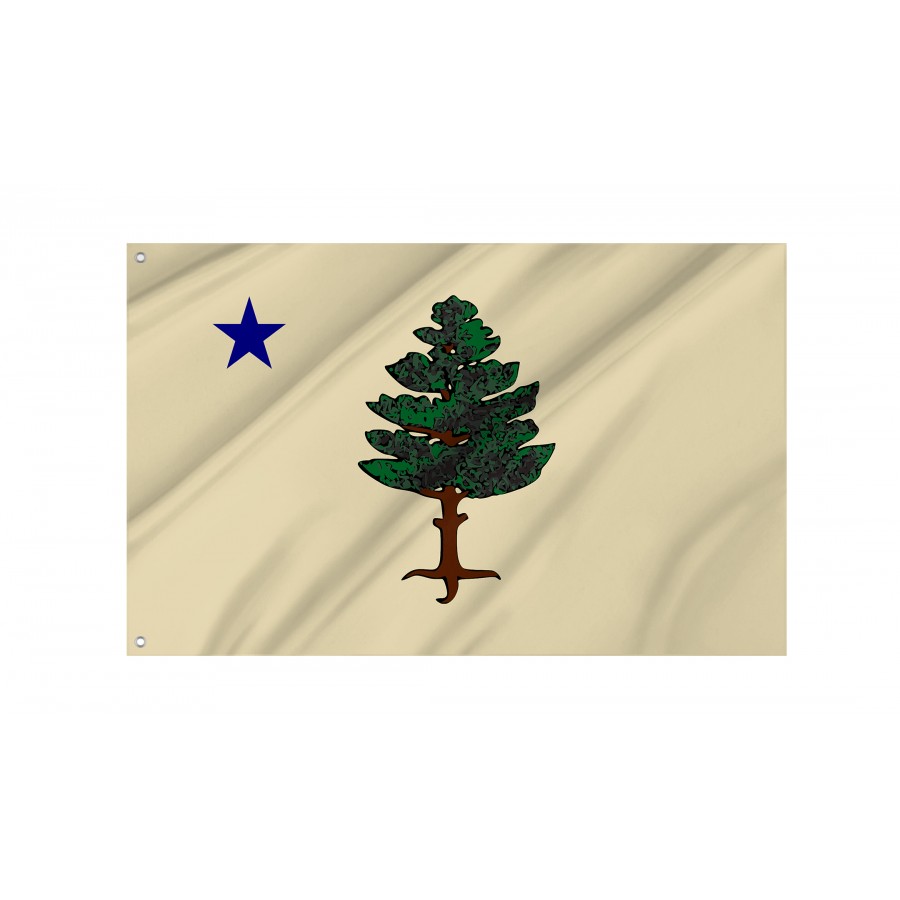 Flag Of Maine 1901 To 1909, Patriotic Flags, Unique Design Print, Flags For Indoor & Outdoor Use - High Quality Maine for Indoor and Outdoor Use
