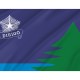 Flag of Maine Bicentennial, Patriotic Flags, Unique Design Print, Flags for Indoor & Outdoor Use - Imagine 2