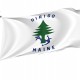 Naval Ensign of Maine Flag for Indoor & Outdoor Use - Imagine 1