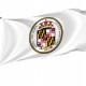 Anne Arundel County White Flag for Indoor & Outdoor Use - Imagine 1