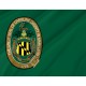 Flag of Caroline County, Maryland, Patriotic Flags, Unique Design Print, Flags for Indoor & Outdoor Use - Imagine 2