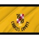 Charles County Flag for Indoor & Outdoor Use - Imagine 2