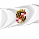 Old Flag of Anne Arundel County, Maryland, Patriotic Flags, Unique Design Print, Flags for Indoor & Outdoor Use - Imagine 1