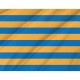 Salisbury Flag for Indoor & Outdoor Use - Imagine 2