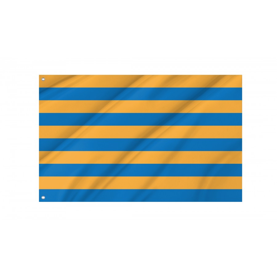Flag of Salisbury, Maryland, Patriotic Flags, Unique Design Print, Flags for Indoor & Outdoor Use