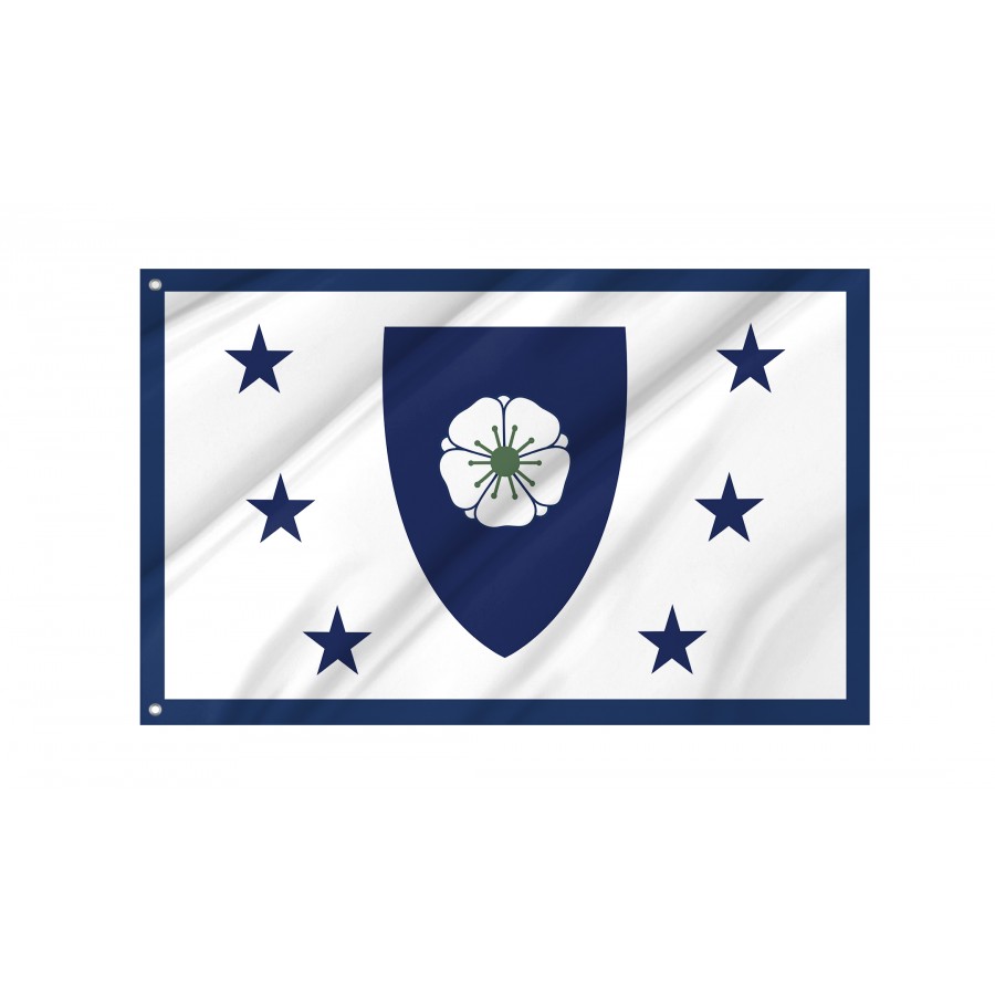 Flag of Erroneous flag of Massachusetts 2022, Patriotic Flags, Unique Design Print, Flags for Indoor & Outdoor Use
