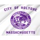 Holyoke City Flag for Indoor & Outdoor Use - Imagine 2