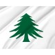 Naval Ensign of Massachusetts Flag for Indoor & Outdoor Use - Imagine 2
