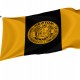 Newton, Massachusetts Flag for Indoor & Outdoor Use - Imagine 1