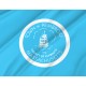 Pembroke Town Flag for Indoor & Outdoor Use - Imagine 2