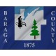 Baraga County Flag for Indoor & Outdoor Use - Imagine 2