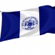 Grand Rapids City Flag for Indoor & Outdoor Use - Imagine 1