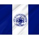 Grand Rapids City Flag for Indoor & Outdoor Use - Imagine 2