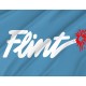 Flint Flag for Indoor & Outdoor Use - Imagine 2