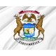 Governor of Michigan Flag for Indoor & Outdoor Use - Imagine 2