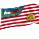 Riga Township Flag for Indoor & Outdoor Use - Imagine 1