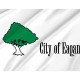 Eagan City Flag for Indoor & Outdoor Use - Imagine 2