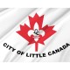 Little Canada City Flag for Indoor & Outdoor Use - Imagine 2