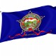 Minnesota 1893 Flag for Indoor & Outdoor Use - Imagine 1