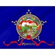 Minnesota 1893 Flag for Indoor & Outdoor Use - Imagine 2