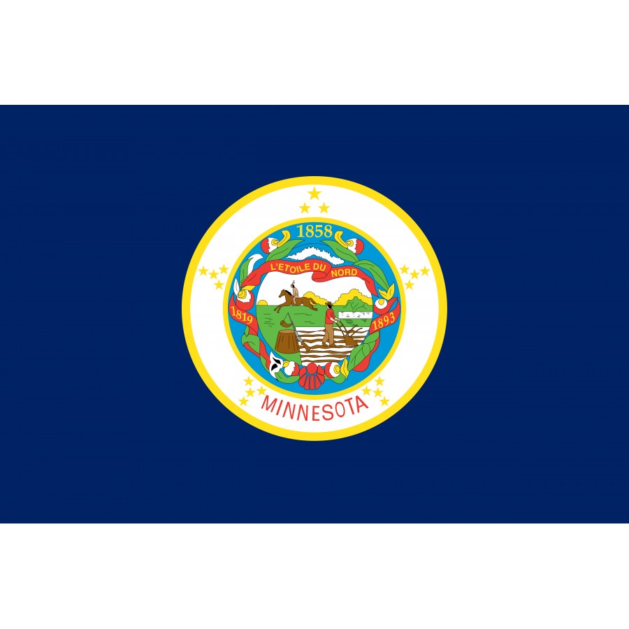 Flag of Minnesota 1957-1983, Patriotic Flags, Unique Design Print, Flags for Indoor & Outdoor Use