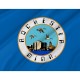 Rochester, Minnesota Flag for Indoor & Outdoor Use - Imagine 2