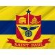 Saint Paul, Minnesota Flag for Indoor & Outdoor Use - Imagine 2