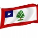 Mississippi in the American Civil War Flag for Indoor & Outdoor Use - Imagine 1