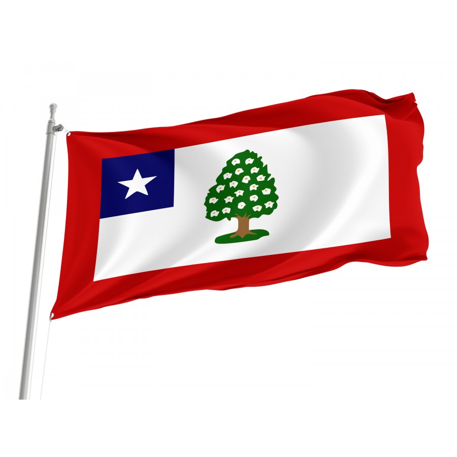 Flag of Mississippi (1861-1865), Patriotic Flags, Unique Design Print, Flags for Indoor & Outdoor Use