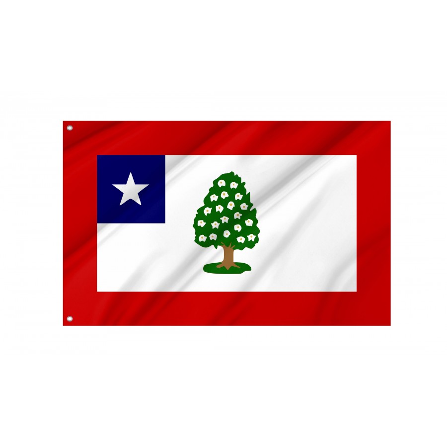 Flag of Mississippi (1861-1865), Patriotic Flags, Unique Design Print, Flags for Indoor & Outdoor Use