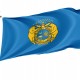 Flag of Missouri State Guard, Patriotic Flags, Unique Design Print, Flags for Indoor & Outdoor Use - Imagine 1