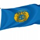 Missouri State Guard Flag for Indoor & Outdoor Use - Imagine 1