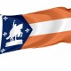 Saint Louis 1916 Flag for Indoor & Outdoor Use - Imagine 1