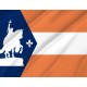 Saint Louis 1916 Flag for Indoor & Outdoor Use - Imagine 2