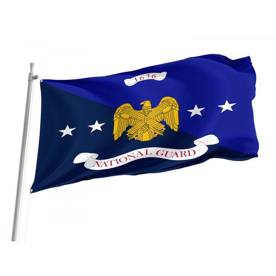 Flag Of National Guard Bureau, Patriotic Flags, Unique Design Print, Flags For Indoor & Outdoor Use - High Quality United States for Indoor and Outdoor Use
