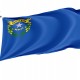 Flag of Nevada State, Patriotic Flags, Unique Design Print, Flags for Indoor & Outdoor Use - Imagine 1