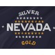 Nevada 1905-1915 Flag for Indoor & Outdoor Use - Imagine 2