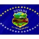 Nevada 1915-1929 Flag for Indoor & Outdoor Use - Imagine 2