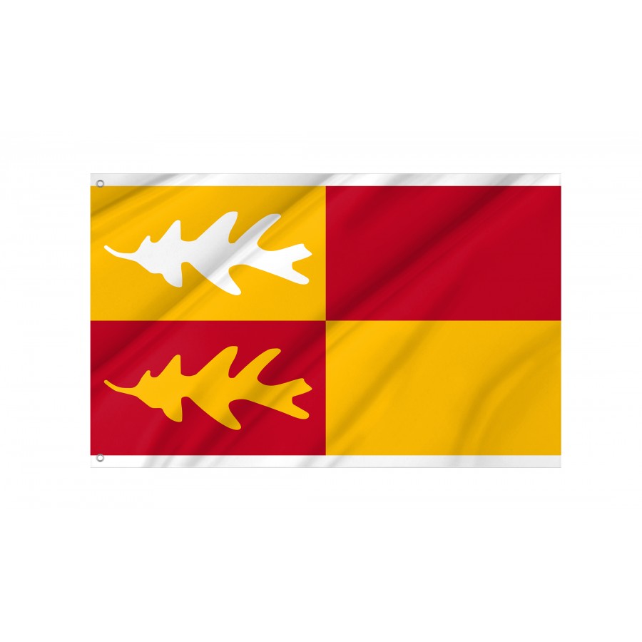 Flag of Bernards Township, New Jersey, Patriotic Flags, Unique Design Print, Flags for Indoor & Outdoor Use